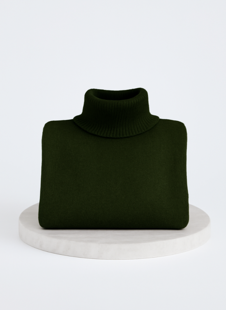 LIV | ELEGANT LONG TURTLENECK